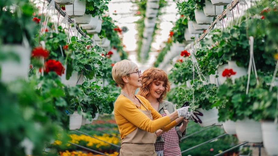 Mulher idosa com mulher mais nova em uma floricultura; longevidade