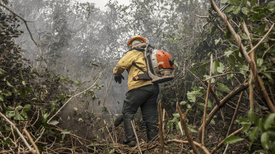 Bombeiro tentando apagar o fogo; Dia da Amazônia