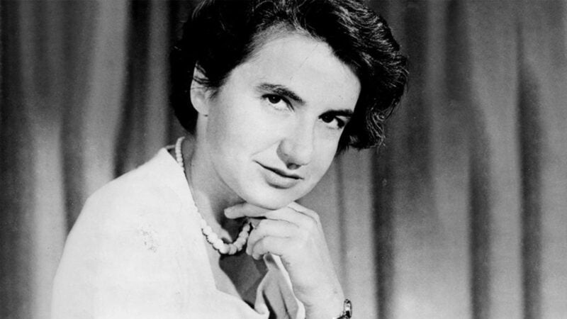 Meninas e Mulheres na Ciência, Rosalind Franklin